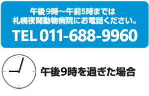 午後10時～午前5時までは札幌夜間動物病院にお電話ください。TEL011-281-1299